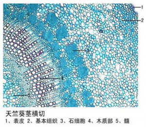 教学生物切片设备供应厂家